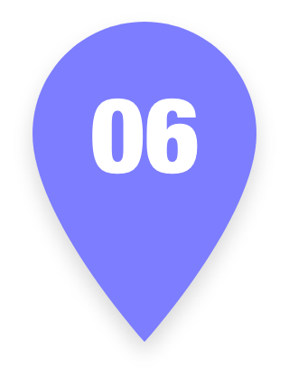 Pin 06