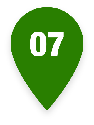 Pin 07