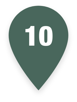 Pin 10