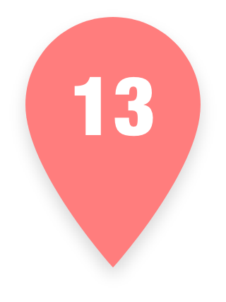 Pin 13