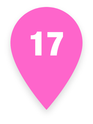 Pin 17